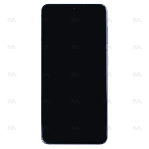 Chassis + Ecran OLED + Vitre pour Samsung Galaxy S21 G991B - Phantom Gray