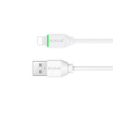 Série de câbles rapides Rixus RXU81AS pour Lightning