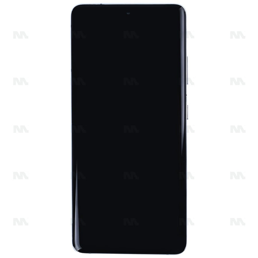 Chassis + Ecran OLED + Vitre pour Samsung Galaxy S21 Ultra 5G G998B - Phantom Silver