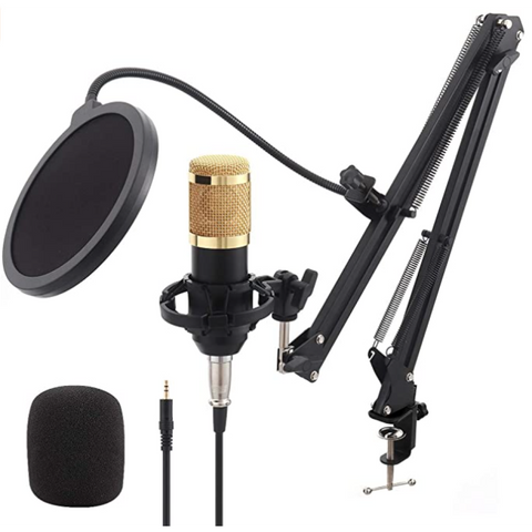 Équipement de microphone pour diffusion en direct