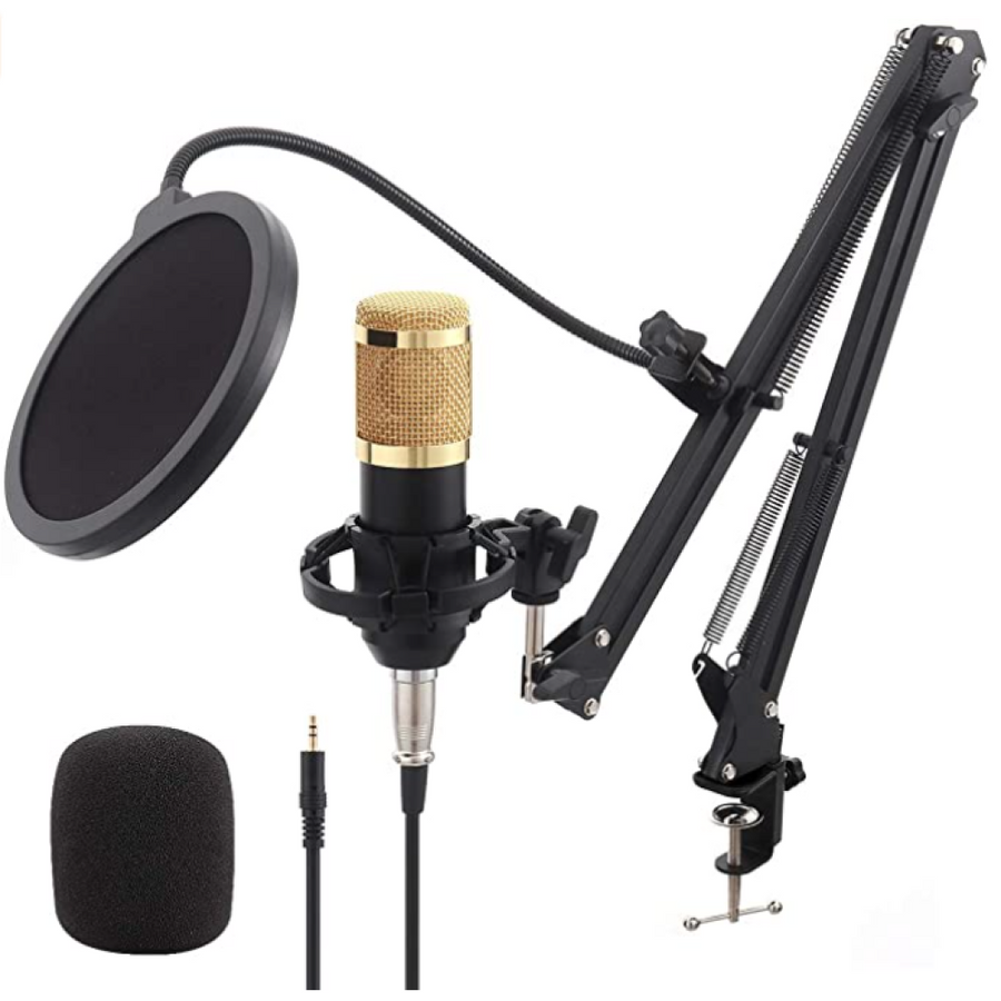 Équipement de microphone pour diffusion en direct