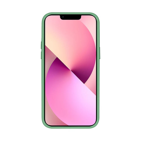 Étui Rixus Classic 03 avec MagSafe pour Apple iPhone 12, 12 Pro Vert clair